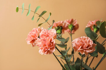 Bouquet of beautiful carnation flowers on color background