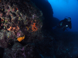 Scuba Diving Malta Gozo Comino