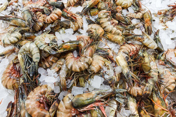 Tiger prawns on ice, many pieces fresh raw whole chilled, at the fish market.