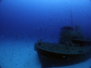 Scuba Diving Malta Gozo Comino