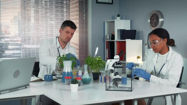 In modern laboratory scientist helping his colleague to conduct the experiment by preparing fertilizer in flask