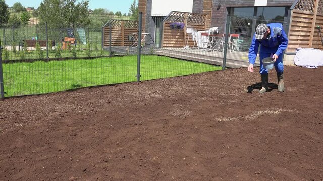 Spreading grass seeds in spring by hand for the perfect lawn. Static shot