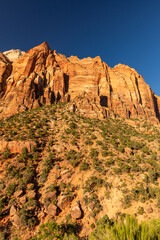 岩が連なるザイオン国立公園