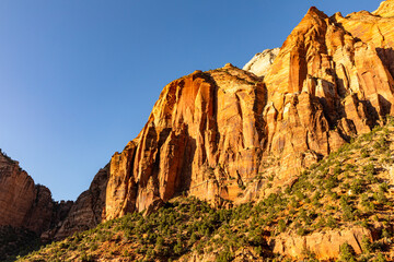 スケールの大きなザイオン国立公園