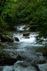雨上がりの渓流