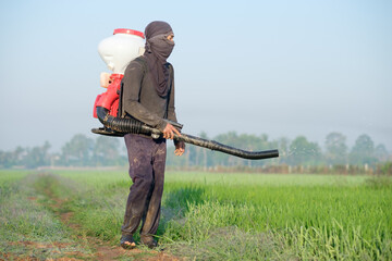 Thai farmer to herbicides or chemical fertilizers Equipment on the fields green rice growing.