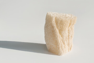 Loofah natural sponge on the white background.