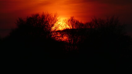 Sunset behind the trees