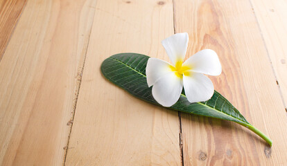 Fototapeta premium Plumeria Frangipani Lanthom Leelawadee on white with clipping path