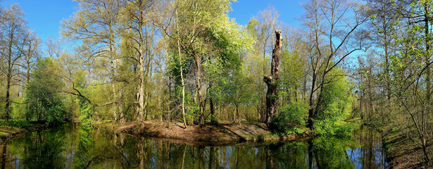die jungfernheide