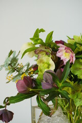 今年も咲いたクリスマスローズの花
