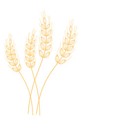 Golden wheat ears isolated on white background vector.