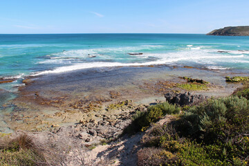 littoral at pennington bay at kangaroo island (australia)