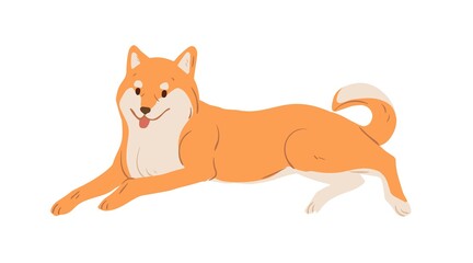 Japanese dog of Akita-Inu breed resting. Adorable Asian doggy with orange hair lying with tongue hanging out. Colored flat vector illustration of purebred canine isolated on white background