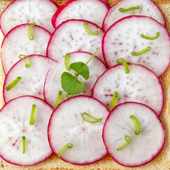 Toasted toast with fresh chopped radishes and green herbs on the white plate. Healthy breakfast. Sandwich with vegetable. Close up