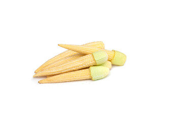 Baby corn isolated on white background.
