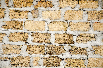 Texture background masonry wall from shell stone