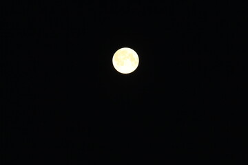 Mond