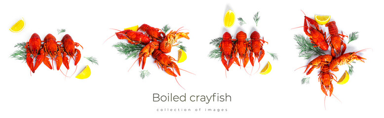 Boiled crayfish with dill and lemon on black plate isolated on a white background.