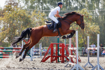 Young man jumping horse on his show jumping course