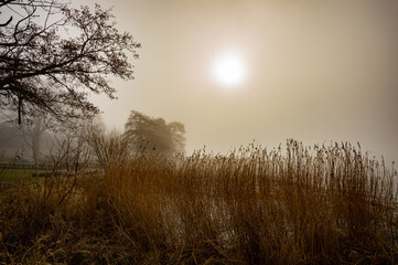 Fototapeta premium Sunrise over the fjord at Alrø. The yellow sunlight, reflected in the water