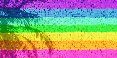 LGTB flag painted on a brick wall with the shadow of a palm tree