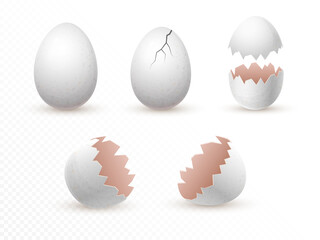 Cracked and broken empty eggs shells set isolated on background. realistic illustration. whole and fragile broken white chicken eggs with cracks. design element. mockup template
