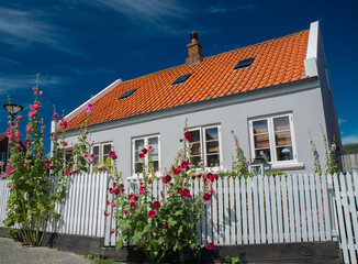 Fanø, a lovely island, with beautiful old houses, an environment with, seals, fishing, food and drink