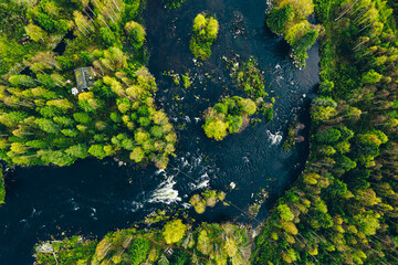 Aerial view of fast river in beautiful green spring forest in Finland.