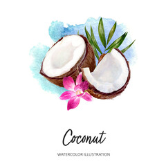 Coconut watercolor illustration isolated on splash background