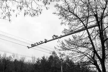 CCTV cameras mounted on iron pole. Traffic monitoring.