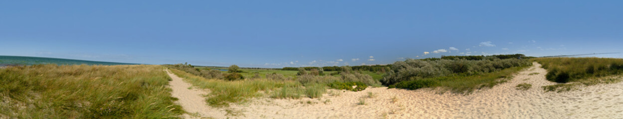 Panorama Landschaft mit Dünen und Schilf an Ostsee