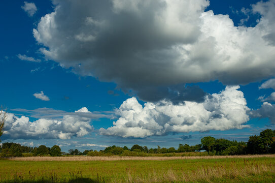 Danish landscape. Green fields, blue skies and comulus skyr in the distance