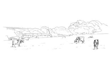 Fototapeta premium Cows are grazing in a meadow. Rural landscape. Farm sketch hand drawn vector illustration.