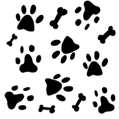 Fototapeta na wymiar dalmatian, dog, happy dalmatian, dog paws, bones, dog food, black and white dalmatian spots
