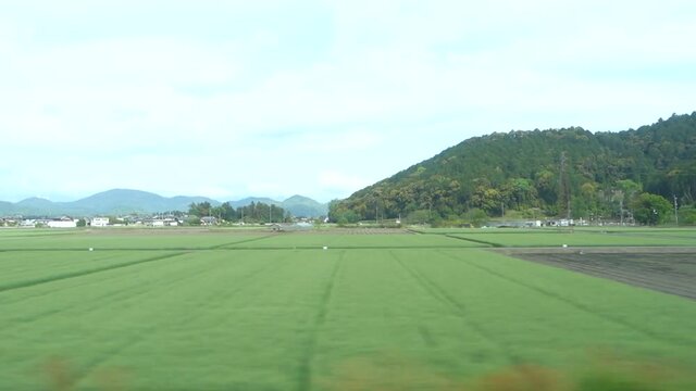 滋賀県近江八幡市安土町の初夏の田園風景（右手に安土山が見えます）