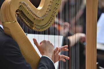 harp with hands playing musician during a classical music concert 