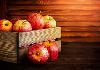 Ripe red and yellow apples close-up on the background of a wooden box with apples. The Gala variety. On a wooden background
