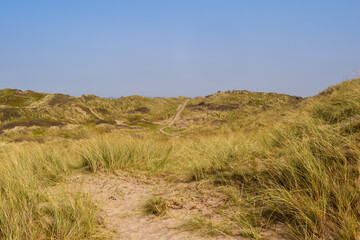 Sand dunes leading to the sea in a beach holiday setting