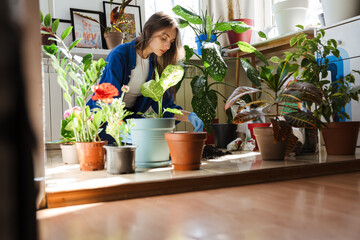 Close up of a woman planting plants in new pots