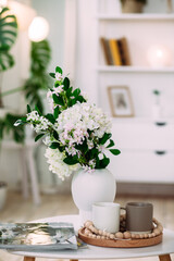 Vase with white flowers in the room