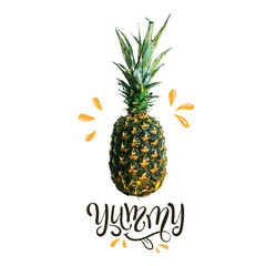 Typography slogan poster print with fresh pineapple. Illustration, t-shirt graphic, tee print design. For t-shirt or other uses,T-shirt graphics, textile graphic