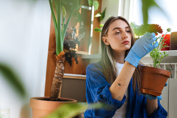 Young woman in gloves transplanting flowers on floor in apartment