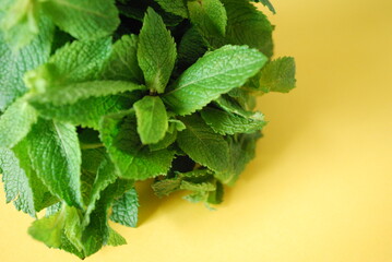 Mint leaves on a yellow background