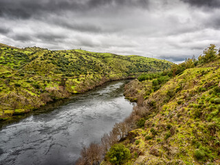 River Tagus Landscape