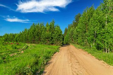 Fototapeta na wymiar landscape green trees and grass, dirt track and bright blue sky