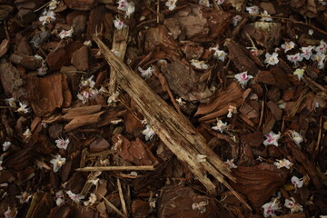 Textura Natural