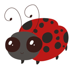 Ladybug
