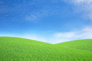 Green meadows with blue sky and clouds background.