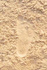 Beach sand footprint ocean coast sea. Close-up.